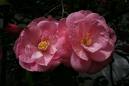 images-2-14.jpg