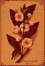 01-4.gif