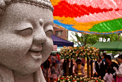 800px-2008_Lotus_Lantern_Fe.gif