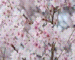 PIC001-2.gif