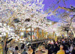 PIC02-2.gif