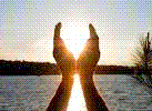 Pic0234.gif