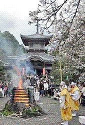 PicP20100402000060.gif
