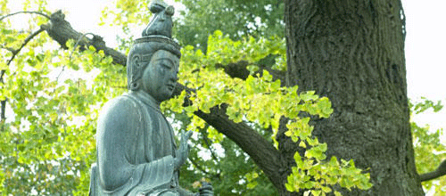 Retraite-bouddhiste-trois-ans-trois-mois-trois-jours-avec-soi_imagePanoramique500_220.gif