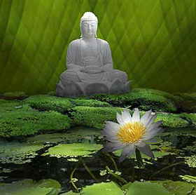 buddha-leafs.gif