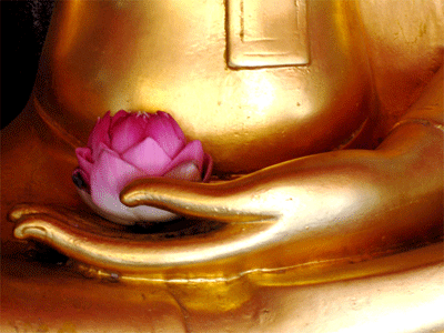 buddha-with-flower.gif