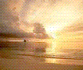 images-1-2.gif