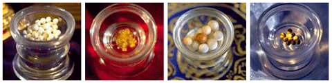 logorelics.gif