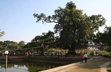 lumbini1.gif