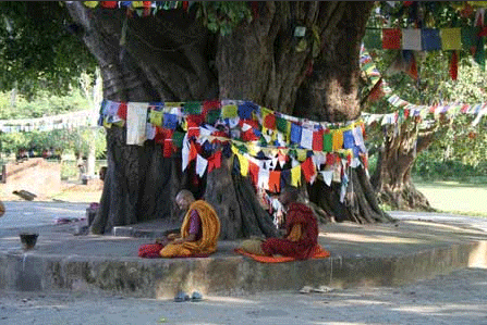 lumbini2.gif