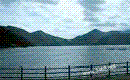 pic-2.gif