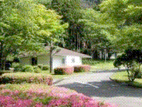 pic01-5.gif