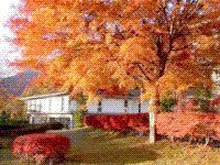 pic02.gif