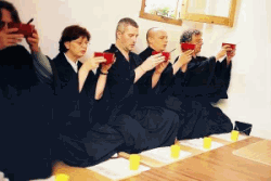 zazen_2_250_x_167_.gif