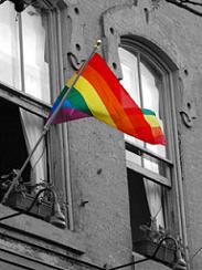 Gay_Flag3.jpg