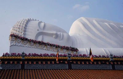 BuddhaVietnam.gif