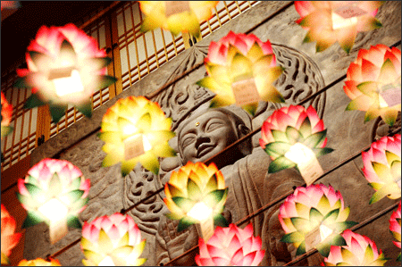 KoreanLotusFestival2010.gif