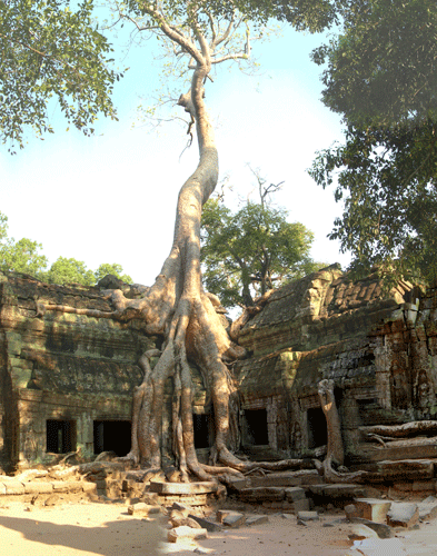 Ta Prohm