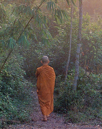 bouddhisme_environnement-3b436.gif