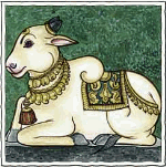 nandi.gif