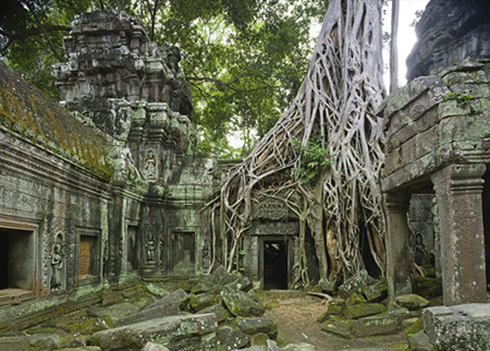 ta-prohm-ruins.gif