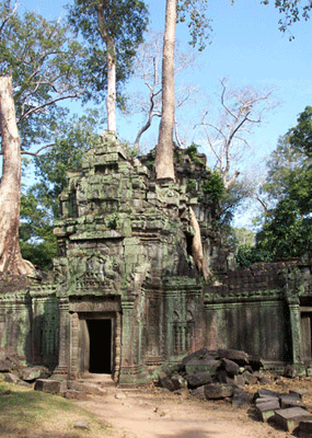 taprohm.gif