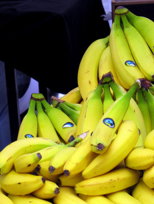 FAIRTRADE-BANANAS2.jpg