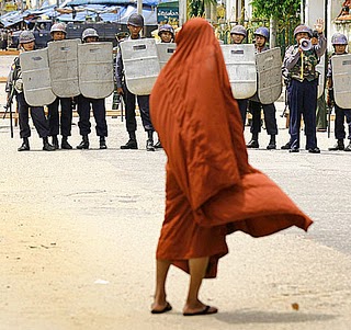 birman-monk432.jpg