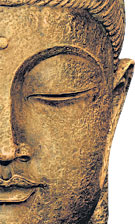 meditationbuddhistwayattracts.jpg