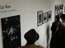 lu_nan.gif