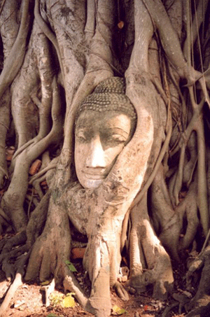 ayutthaya.gif