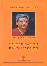 livre_lama_jigme_3.gif