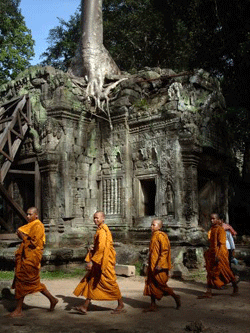monjes_camboya.gif