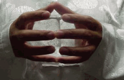 pure_mudra_400_x_258_.gif