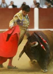 corrida_2.jpg