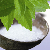 stevia_rebaudiana_extract2.jpg