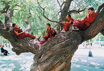 tibetan_monks-2.jpg
