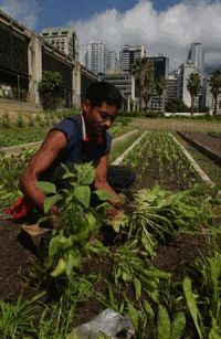 Alimentazione-Foto-FAO_200_x_307_.gif