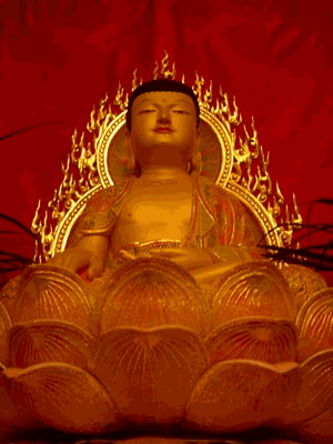 gdanski-budda_300_x_400_.gif