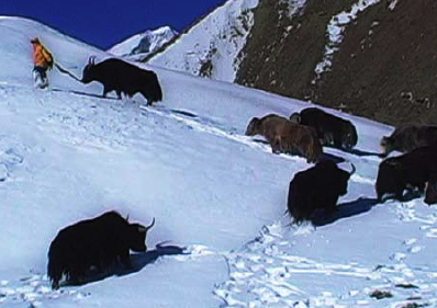 zanskar-neige.jpg