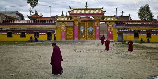 1674504_3_26aa_des-moines-bouddhistes-devant-le-monastere-de_966339eaeae4e189e7b2953d38e9a640.jpg