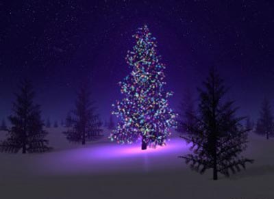 christmas-tree.jpg