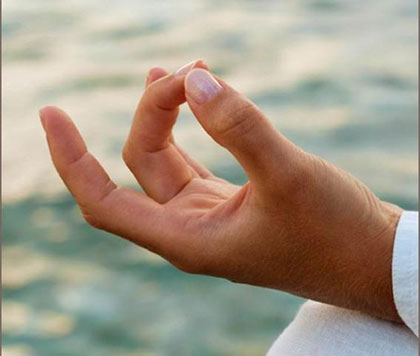 Tripada Yogalehrer Ausbildung Tripada Yogalehrer Ausbildung