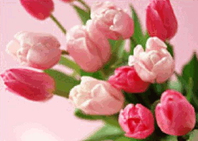 02-12.gif
