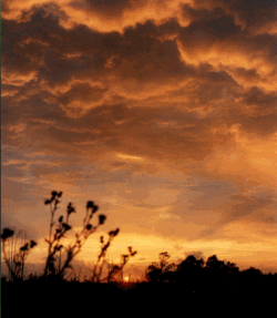 atardecer_250_x_287_.gif