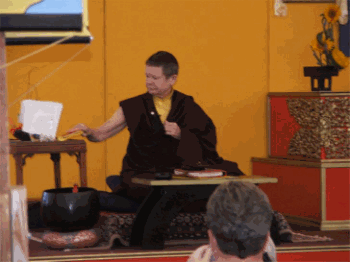 Pema_Chodron.gif