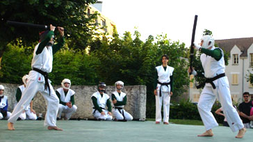 Art Martial - Chanbara