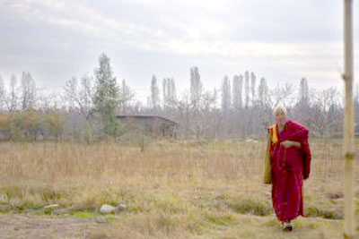 walking_lama walking_lama