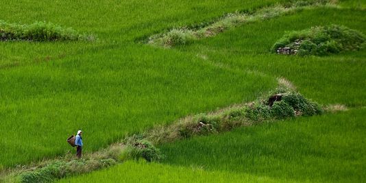Le Bhoutan est peuplé de 700 000 habitants, dont deux tiers dépendent de l'agriculture dans les villages éparpillés dans les plaines fertiles du sud, les montagnes reculées ou les vallées encaissées du nord du pays. | AFP/MANAN VATSYAYANA