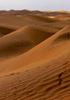 desert-taklamakan-buddhachannel.jpg